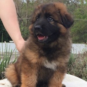 Meet your Posher, Carolyn